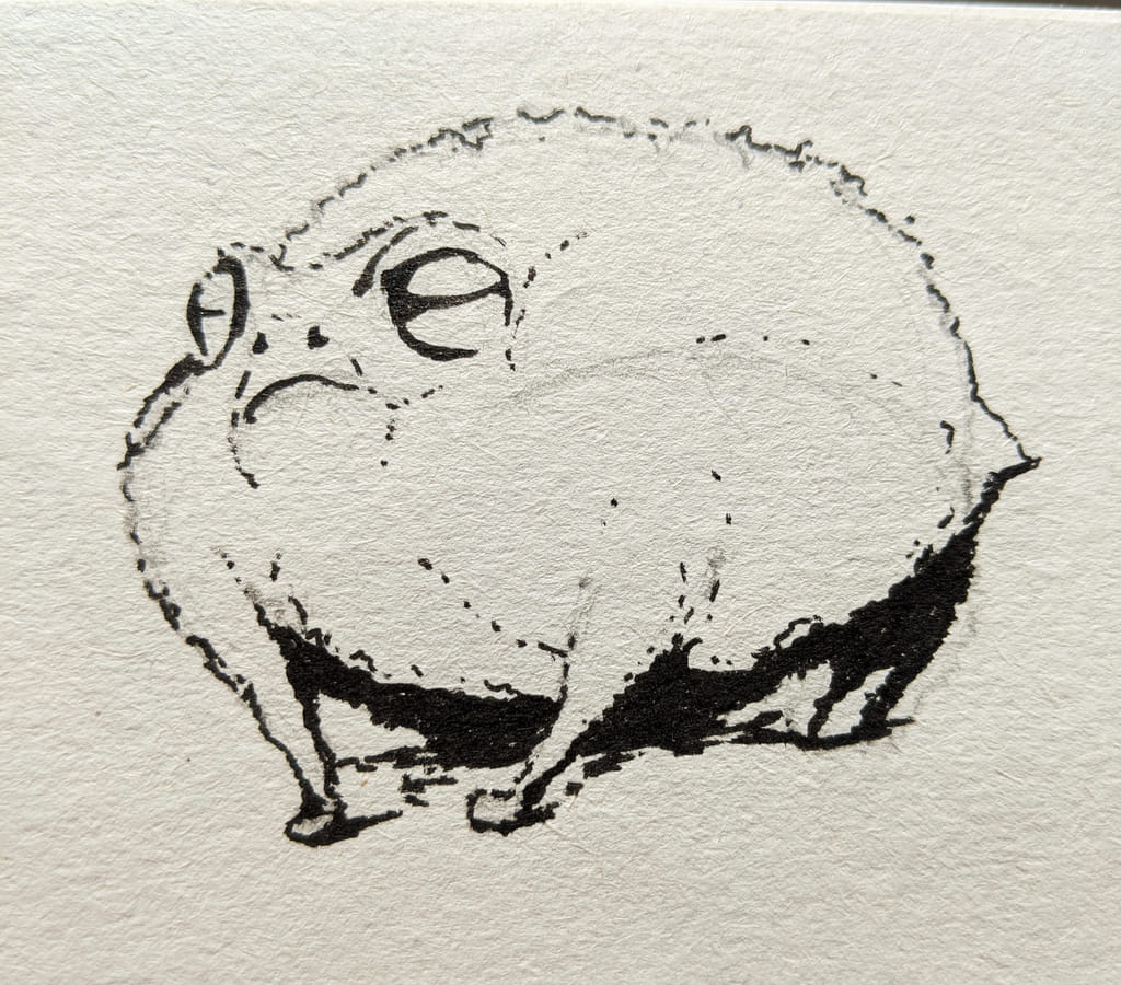 A black and white cute frog drawing rendered in fine marker, illustrating a funnily bloated angry round tiny rain frog. The sketch features stippled shading on the spherical body of the grumpy amphibian, emphasizing its tiny legs and displeased expression.