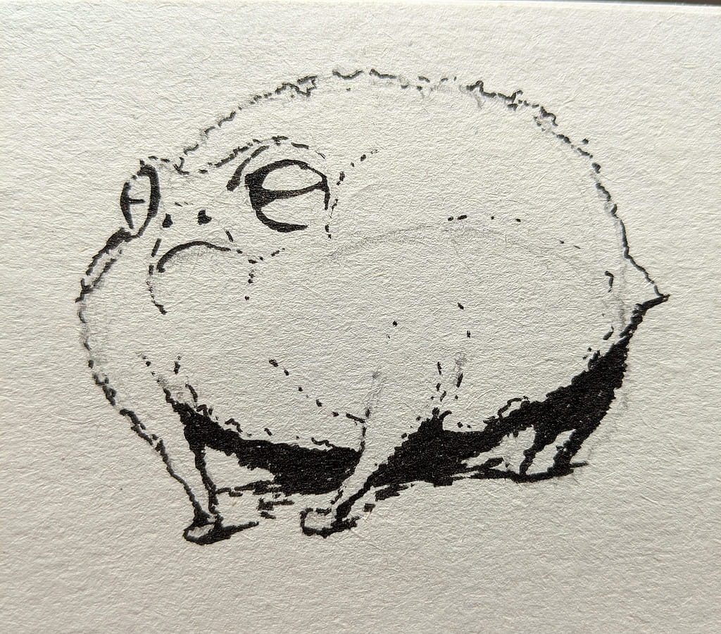 Bloated angry frog with a fine marker.