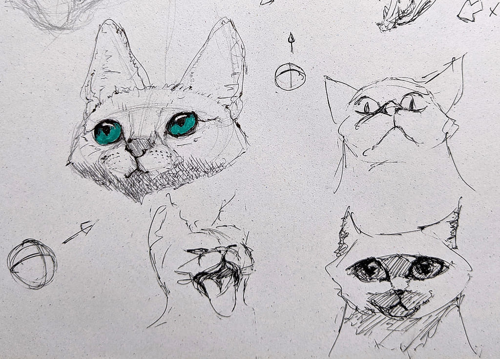 A page of various ballpoint pen cat head sketches: with striking turquoise eyes, doing funny faces, with a grumpy expression and a manic smile.