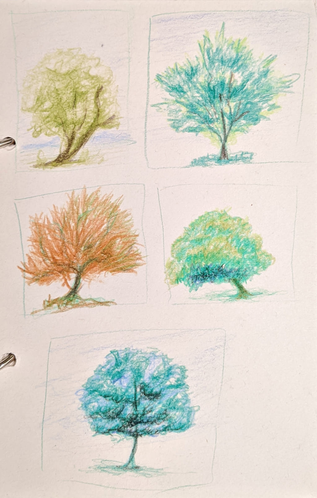 A colored pencil study of five different trees, exploring various shapes and color combinations.