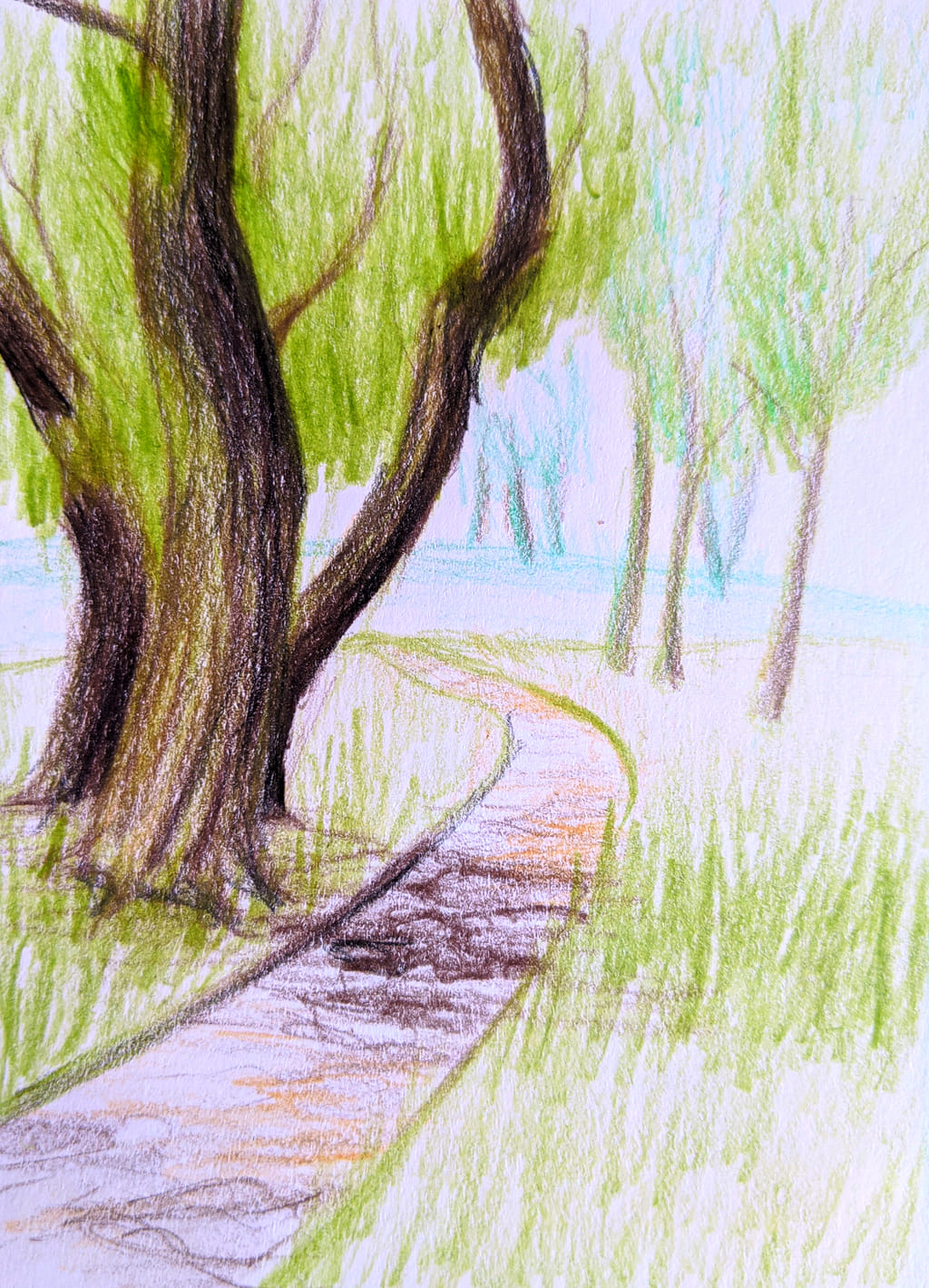 A colored pencil sketch capturing the gnarled branches of a tree, with a soft-focus background of green foliage and a hint of a path in the park.