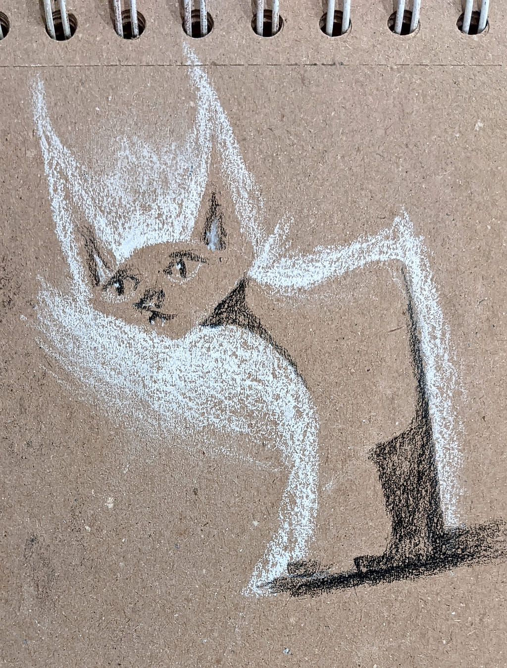 Charcoal drawing of a pensive cat, still as a statue.