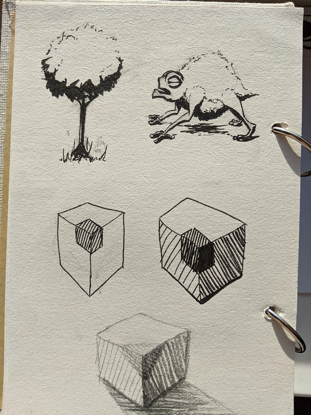 A sketchbook page featuring various ink and pencil doodles: a stylized tree, a grumpy-looking frog, and studies of cubes with different shading techniques.