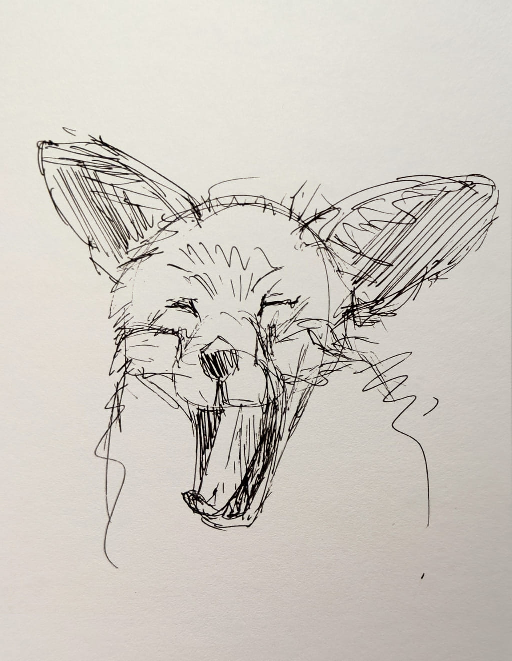 A quick, scribbly ink sketch of a fox's head. Its mouth is wide open and its eyes are squeezed shut in a big, satisfying yawn.