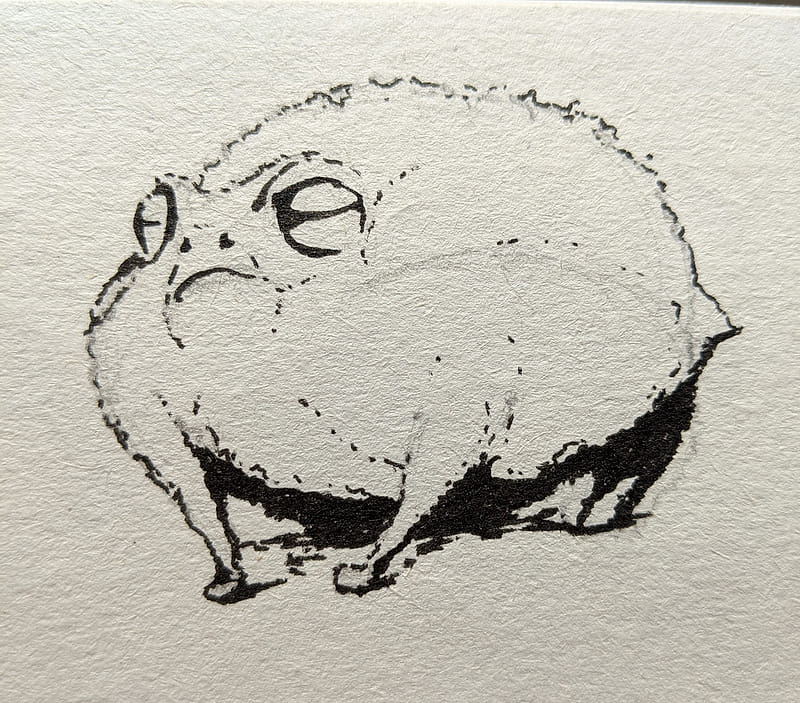 Bloated angry frog with a fine marker.