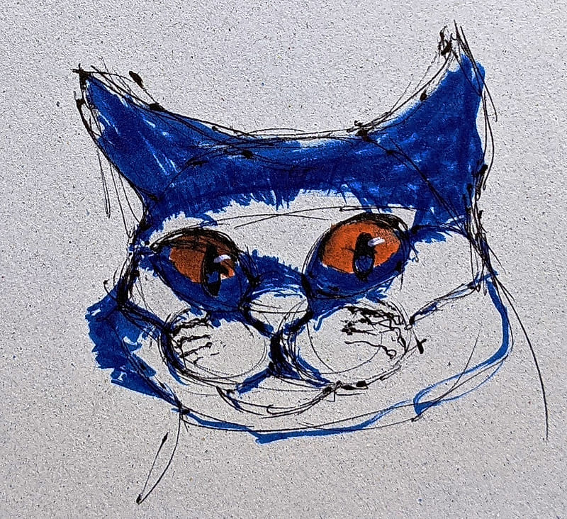 A marker sketch of a cat with dramatic blue shading and striking orange eyes.