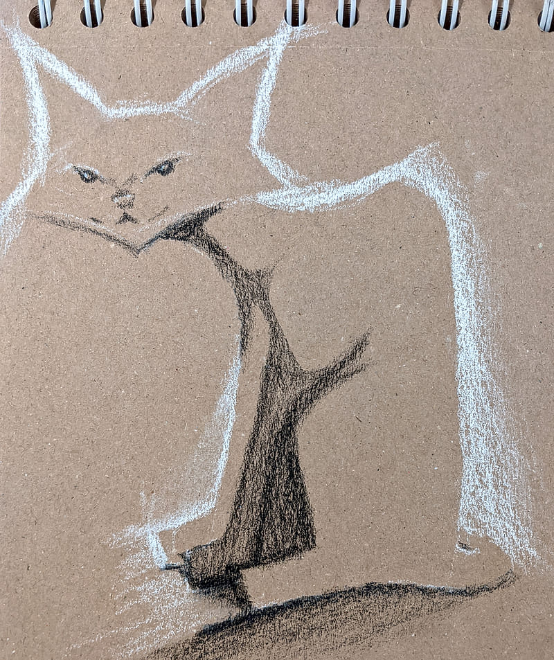 Charcoal drawing of a curious cat plotting world domination.
