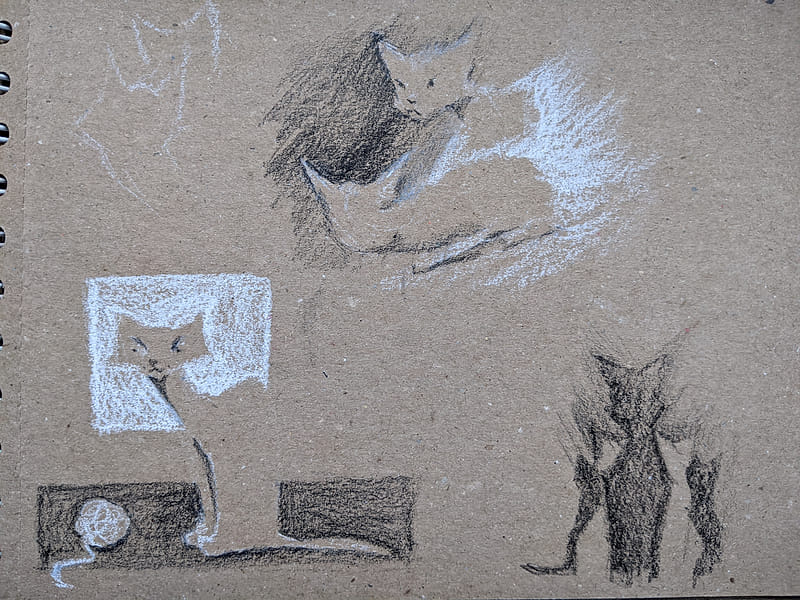 Page filled with various cat sketches in white and black charcoal on craft paper: a cat framed with a white square, fighting cats and a shadowy cat figures.
