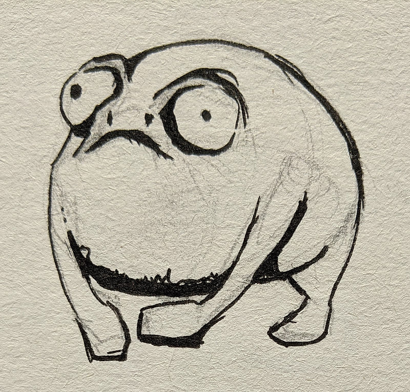 Failed marker drawing of an angry frog that looked completely phased out.