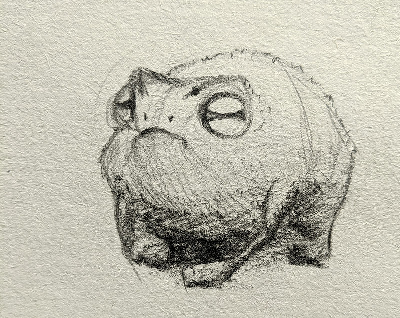 Angry frog frowning with a pencil.