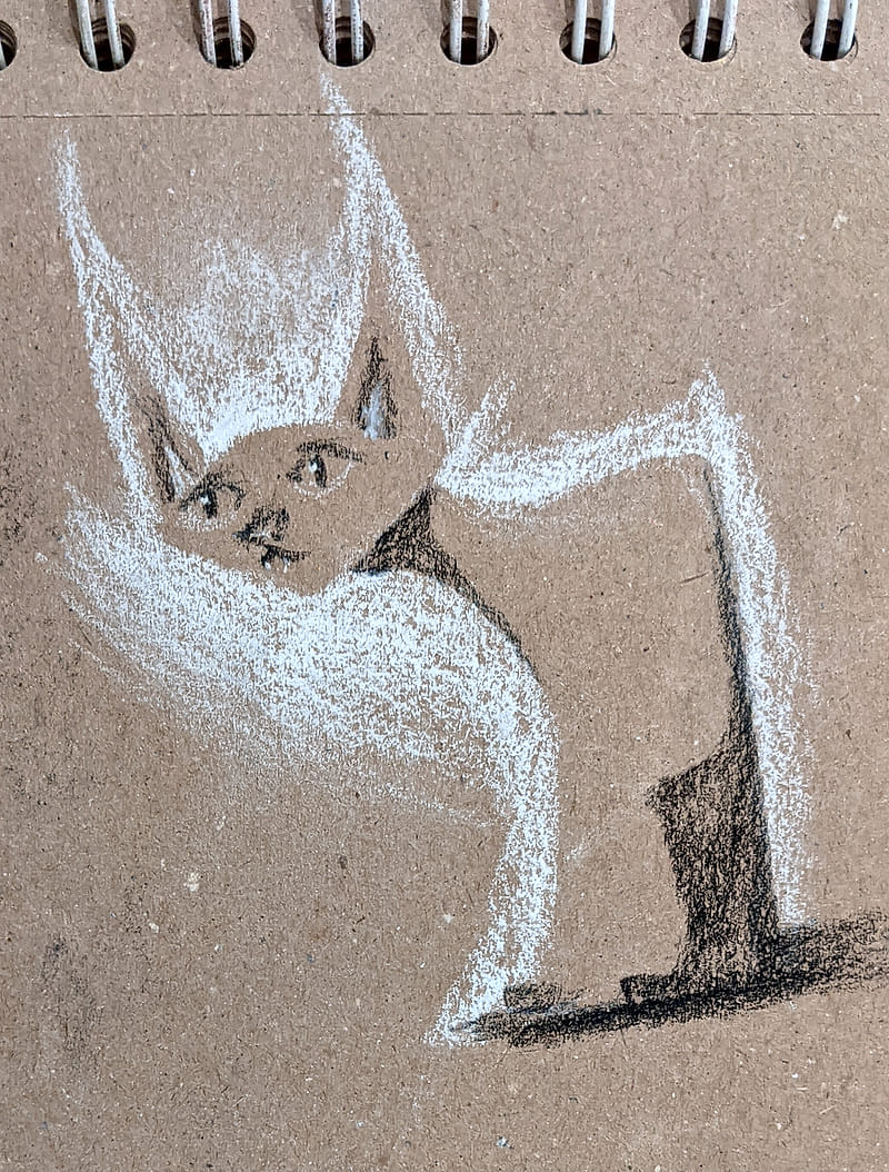 Charcoal drawing of a pensive cat, still as a statue.