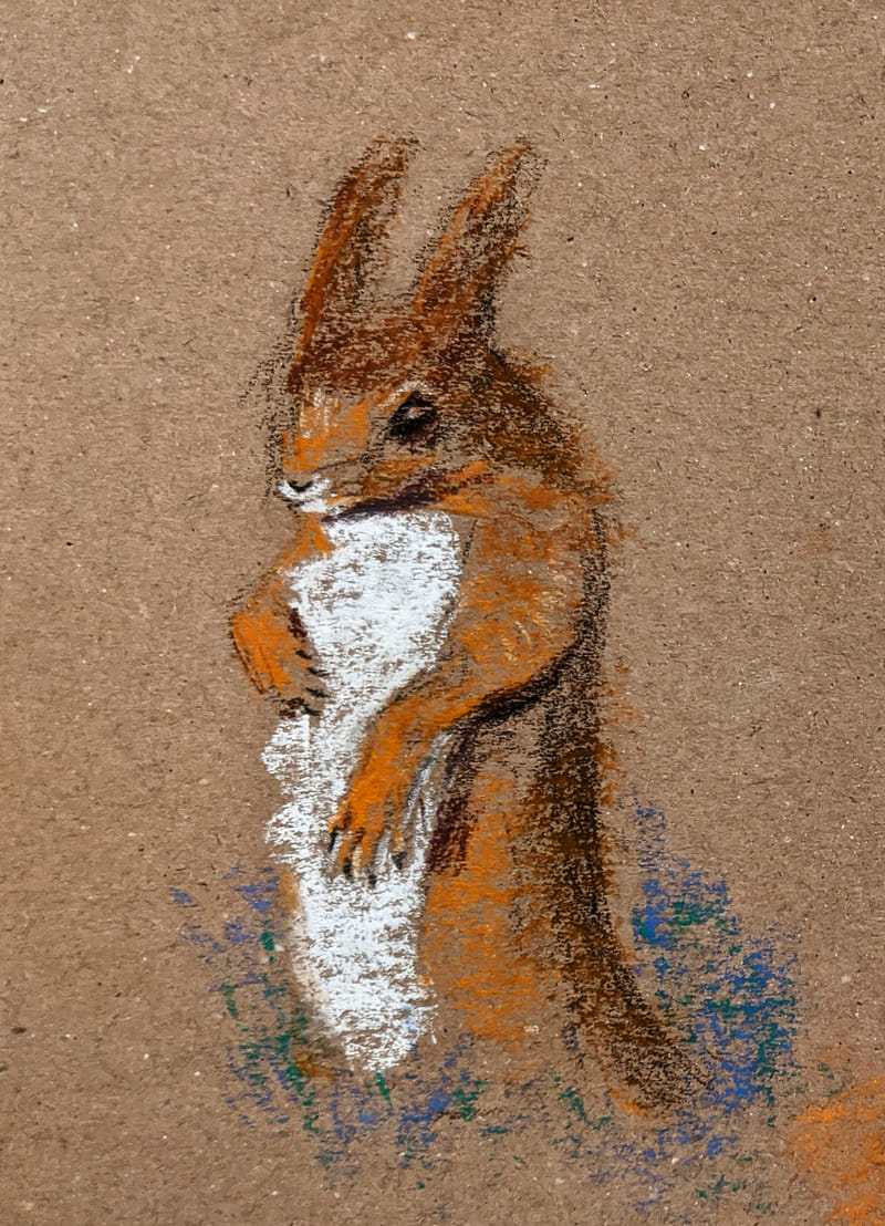 A pastel drawing of a red squirrel standing alert on its hind legs against a brown textured craft paper. The squirrel is rendered in shades of orange and brown with a bright white chest and belly, and hints of blue shadow are visible at its feet.