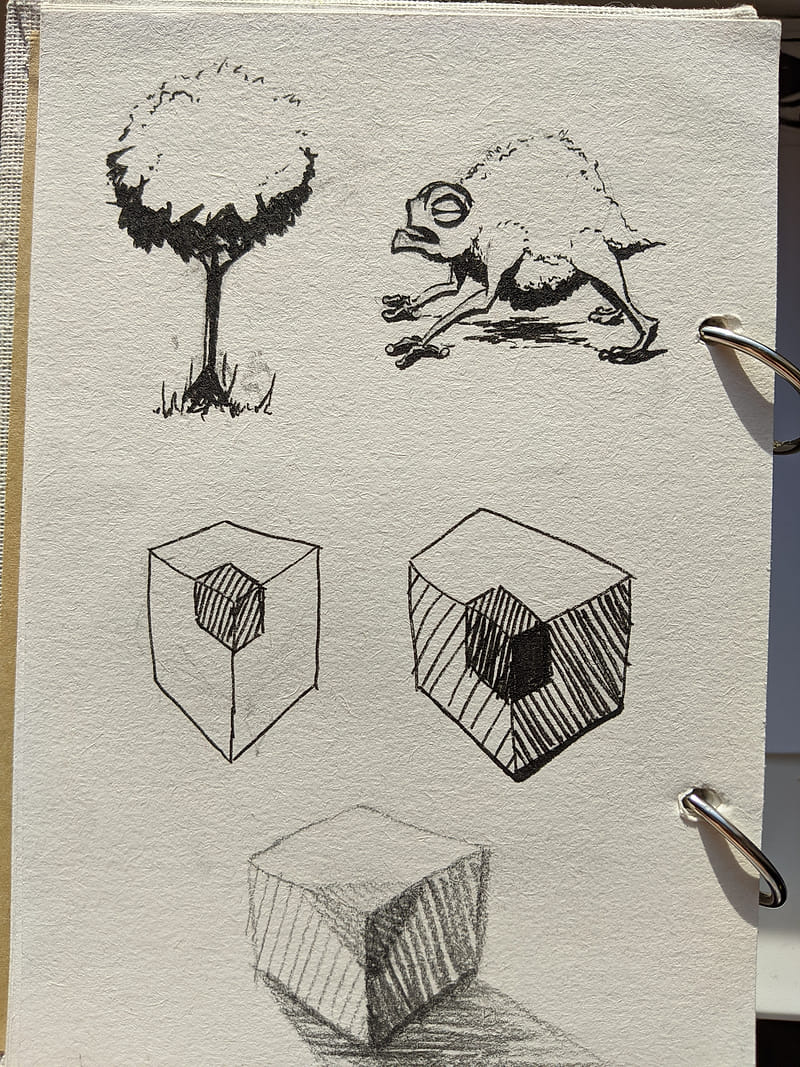 A sketchbook page featuring various ink and pencil doodles: a stylized tree, a grumpy-looking frog, and studies of cubes with different shading techniques.